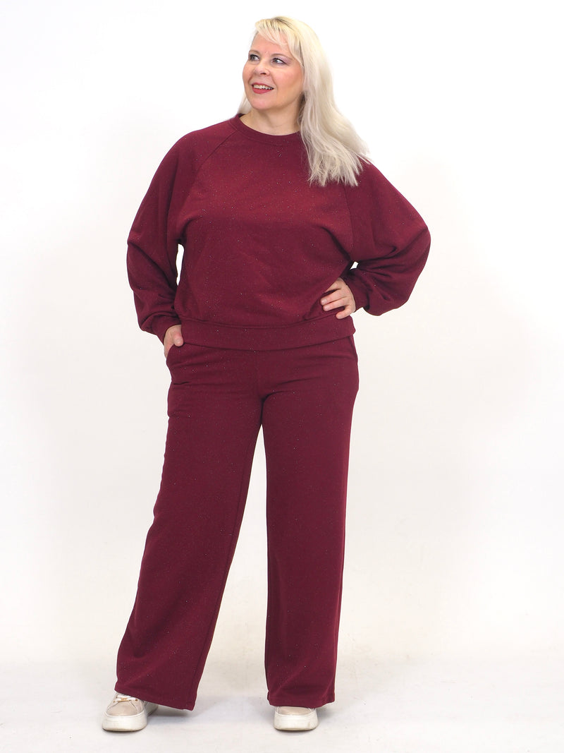 Collegehousu Glitter Viini