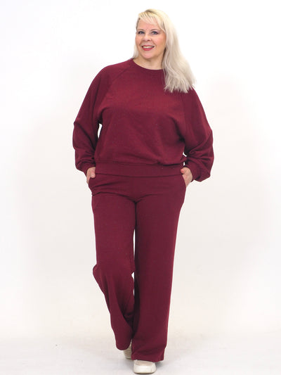 Collegehousu Glitter Viini